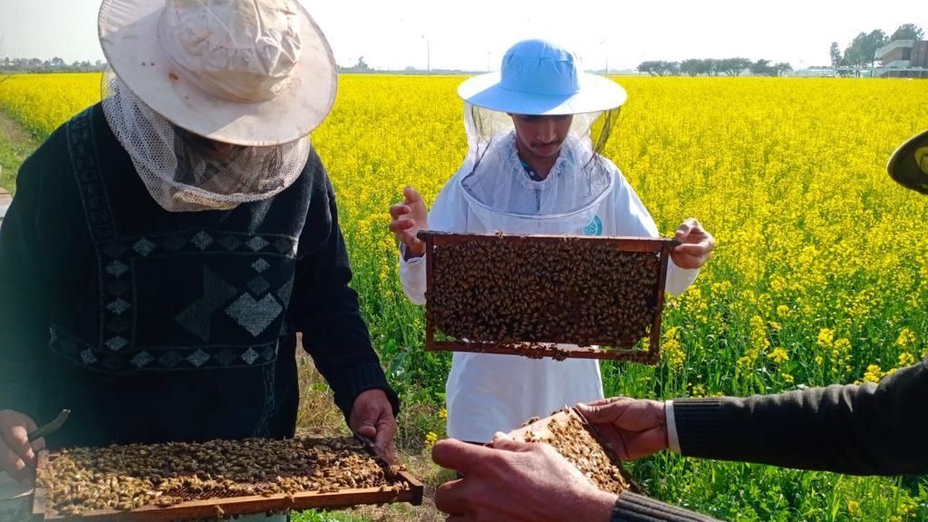 Pak-Türk Maarif Okulları Öğrencileri Yaşayarak Öğreniyor