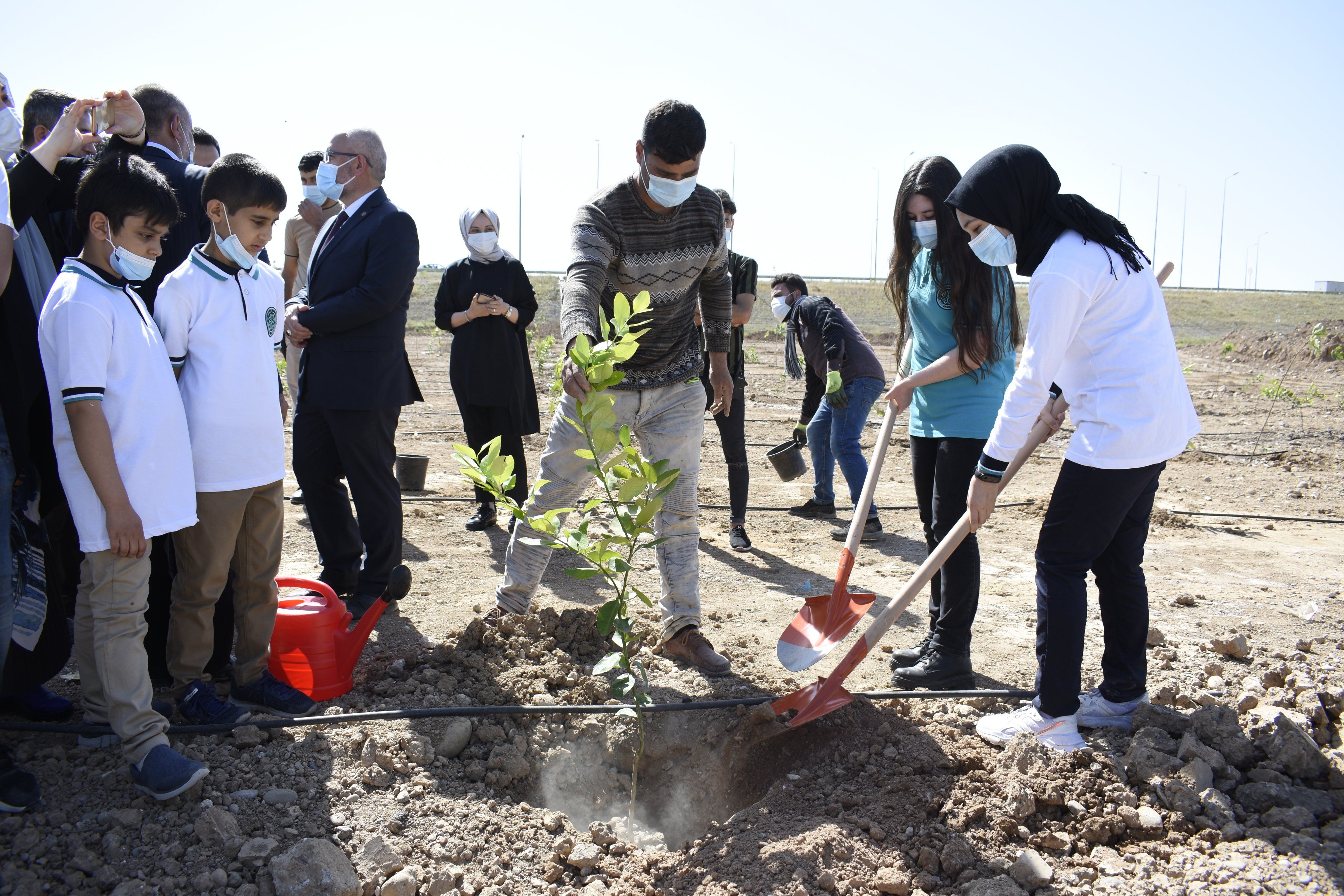 Irak’taki Maarif Ormanı Büyüyor